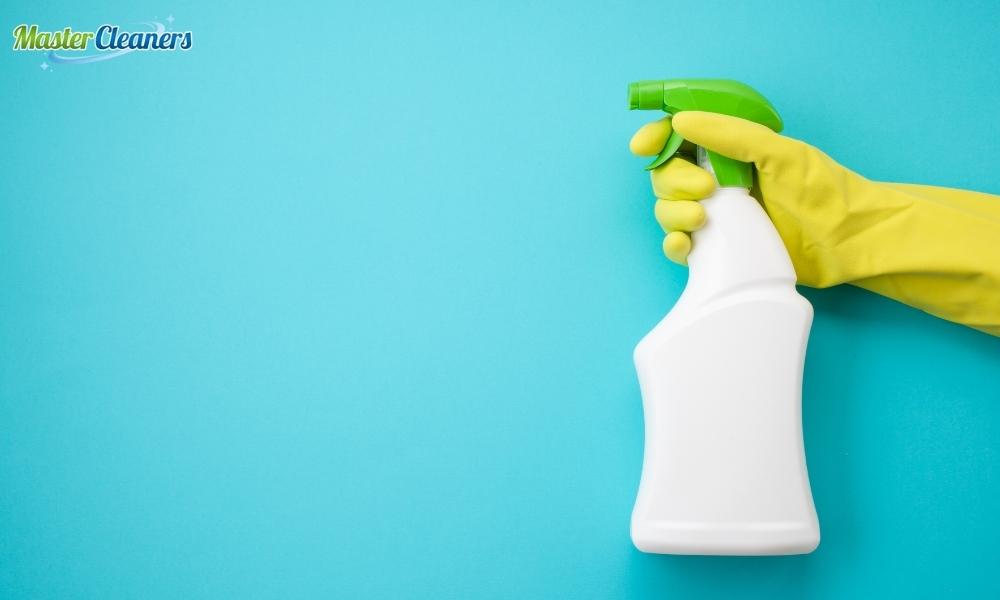 What percentage of households have a cleaner?